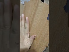 200x1200mm ahşap desenli seramik karonun tanıtımı