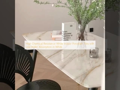 Yüksek Kimyasal Dirençli Beyaz İç Mekan Porselen Fayanslar, Beyaz Renkte Düşük Su Emme Özelliği