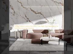 1200x2700mm İç Mekan Porselen Karolar Kolay Bakım için Yüksek Leke Direnci Zemin Kaplaması