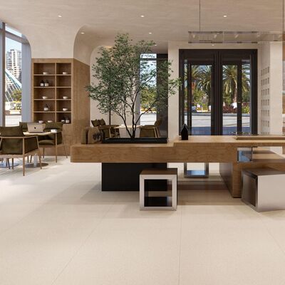 İnce Harç veya Yapıştırıcı ile Montaj Yöntemi Sunan, Çok Amaçlı Yüzeyler İçin Cilalı Modern Porselen Karo