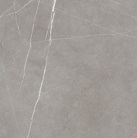 Özel 60*60 Çimento Görünümlü Porselen Karo / Dayanıklı ve Kaymaz Zemin Seramik Mat Karo